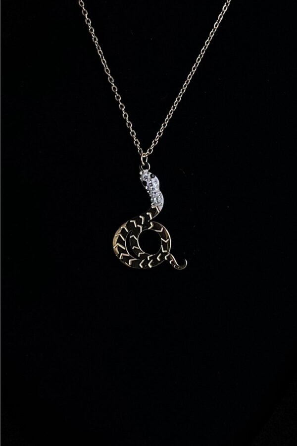 Caprea Çelik Yılan Kolye Kadın Altın Renkli Kararmaz Zincir Kolye 45 Cm Zincirli